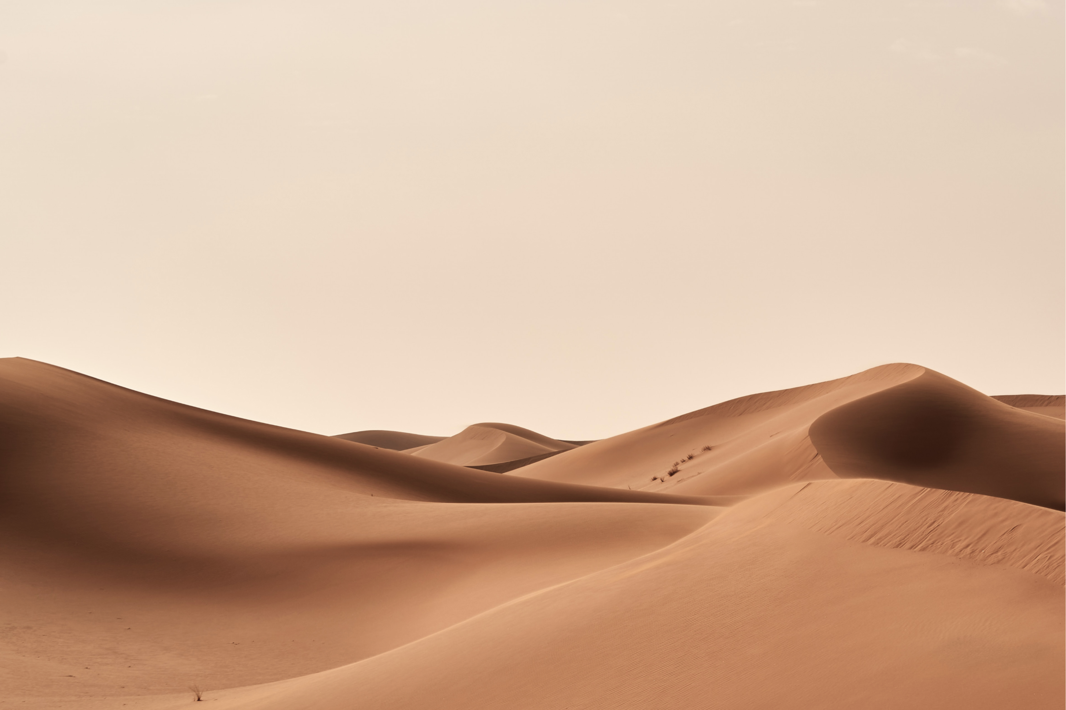 Image of Desktop Screenshot